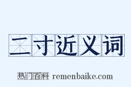 二寸近义词是什么意思的图片